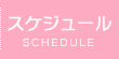 スケジュール